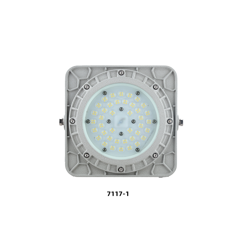 SZBD7117防爆LED灯（多角度配光） 视图2