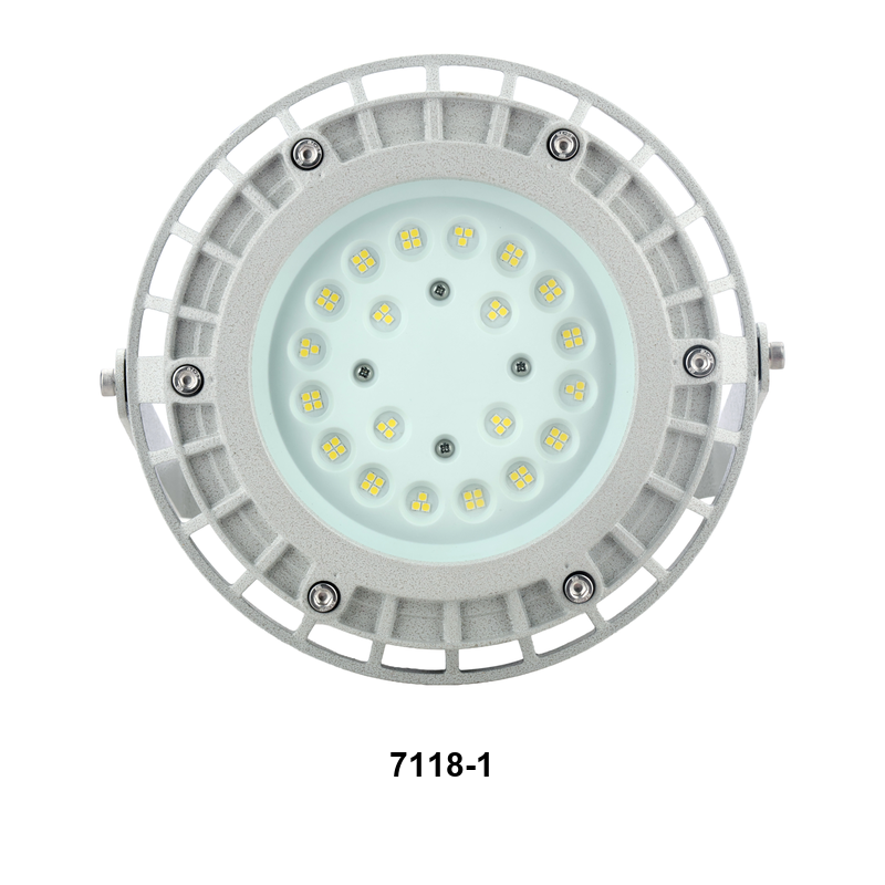 SZBD7118圆形防爆LED灯（四种灯体） 视图2