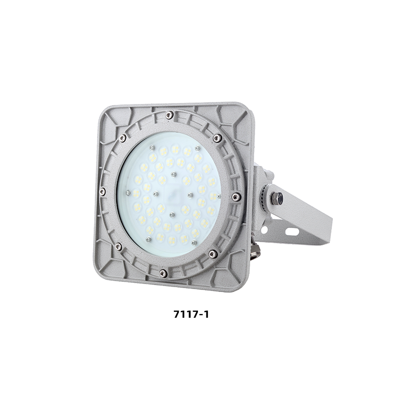 SZBD7117防爆LED灯（多角度配光） 视图3